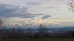 1780821_10152154846405380_84169857_n