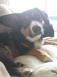 Confirmed. Cutest thing ever. 